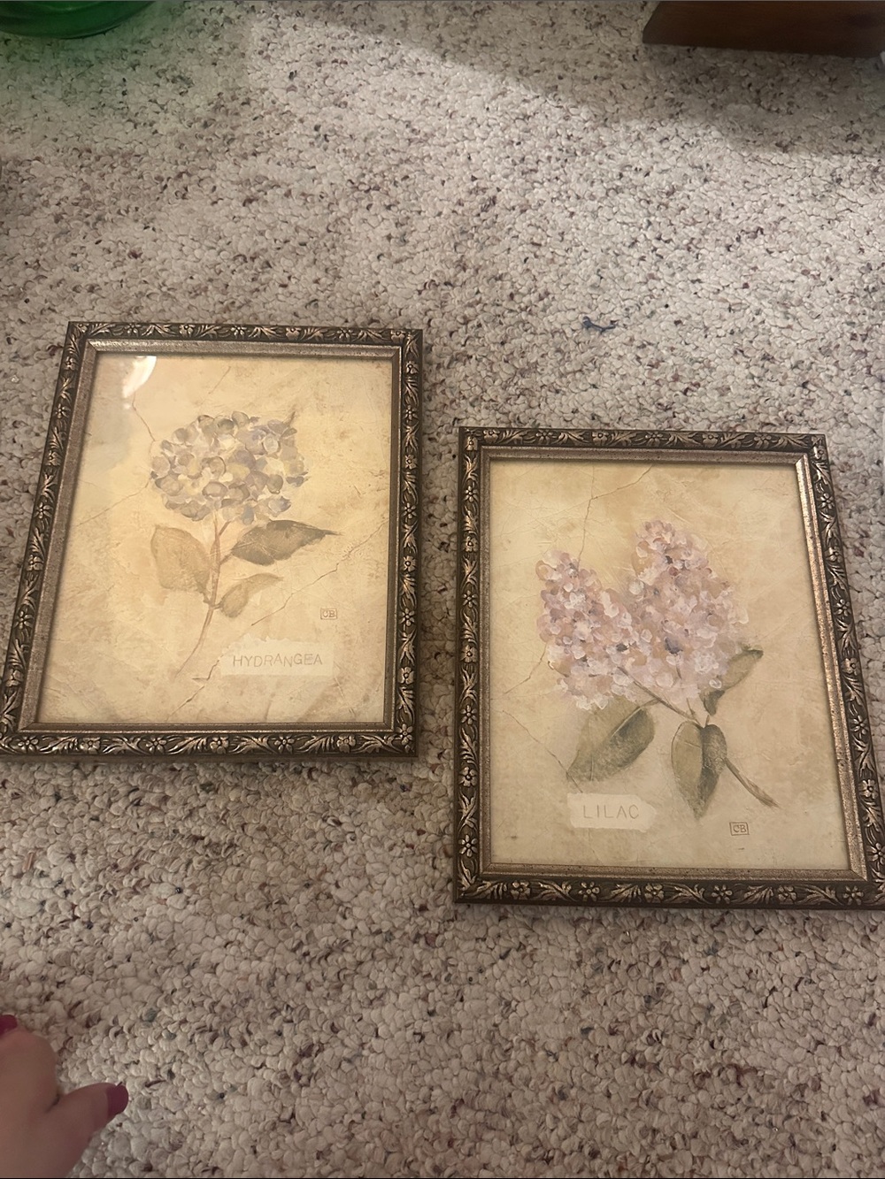 Vintage Cracked Linen floral art prints by artist Cheri Blum